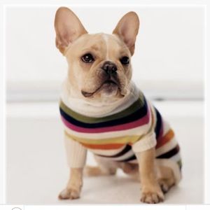 COACH Dog Sweater Legacy Stripe CASHMERE Pet Rare Vintage Collector - S